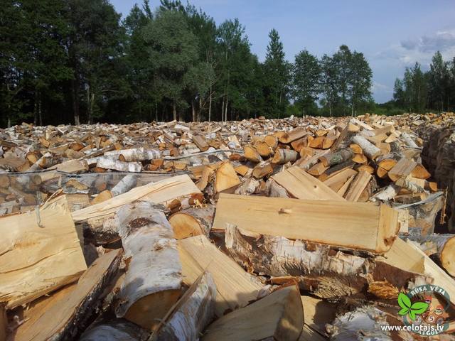 sia north latgallian firewood 5.jpg